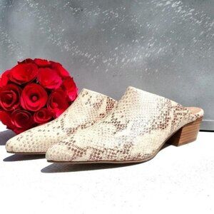 Seychelles Mules Exotic Snake Rendezvous Shoe 7.5 Slid On